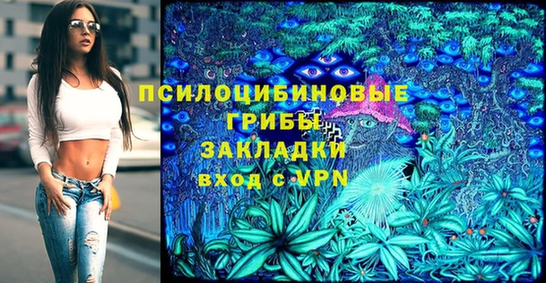 герыч Алексин